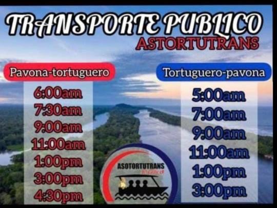 Hotel Casa turtle Bogue Tortuguero Exterior foto