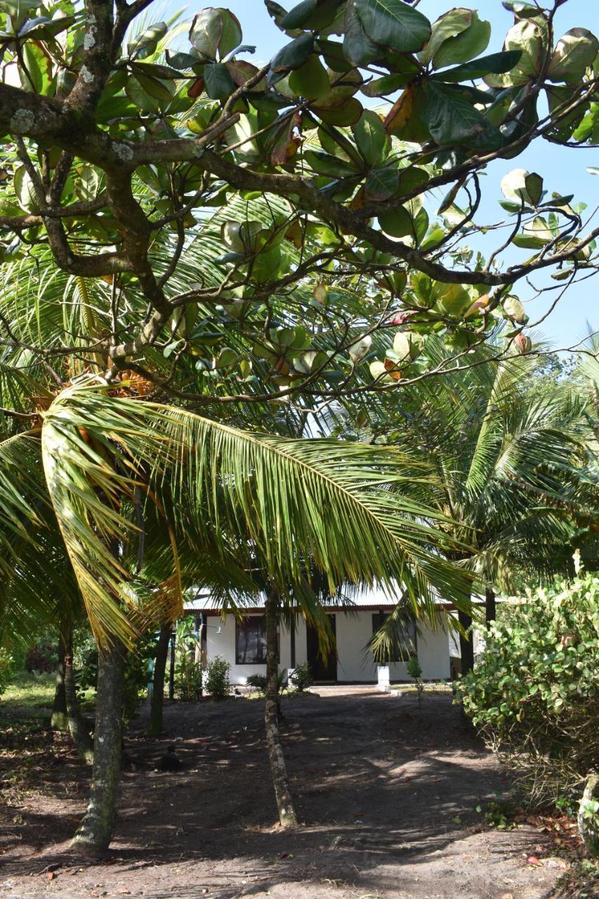 Hotel Casa turtle Bogue Tortuguero Exterior foto