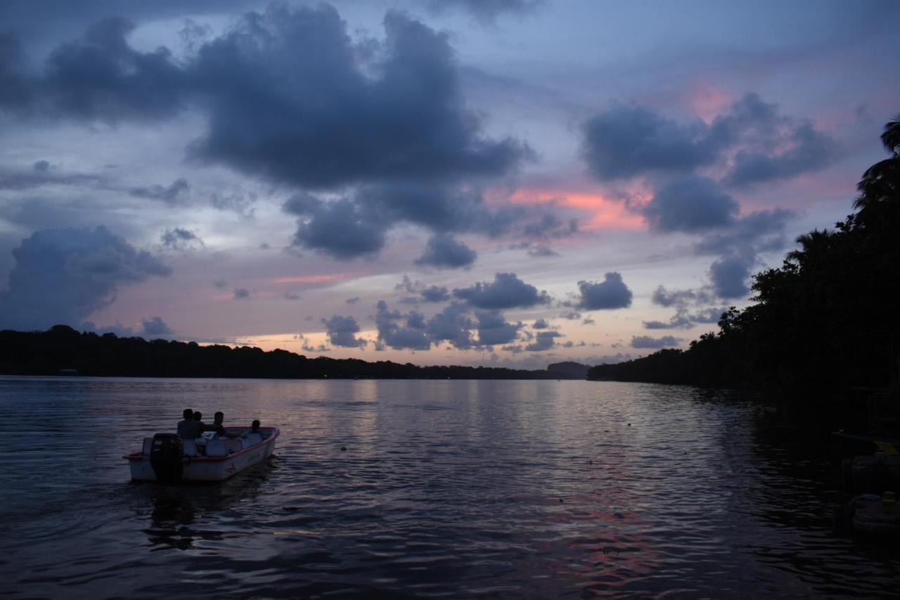 Hotel Casa turtle Bogue Tortuguero Exterior foto