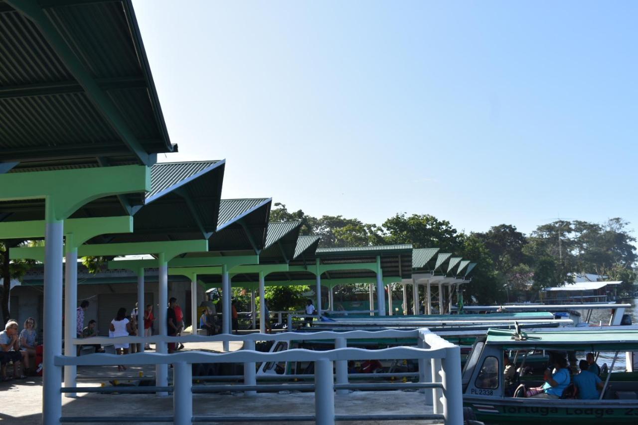 Hotel Casa turtle Bogue Tortuguero Exterior foto